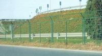 Isolated mesh on the side of the side of urban road
